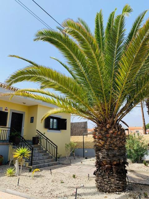 Vivienda Vacacional Tinizara Arona  Exterior foto